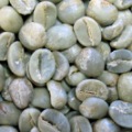 Washed Coffee Beans