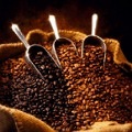 Roasted Coffee