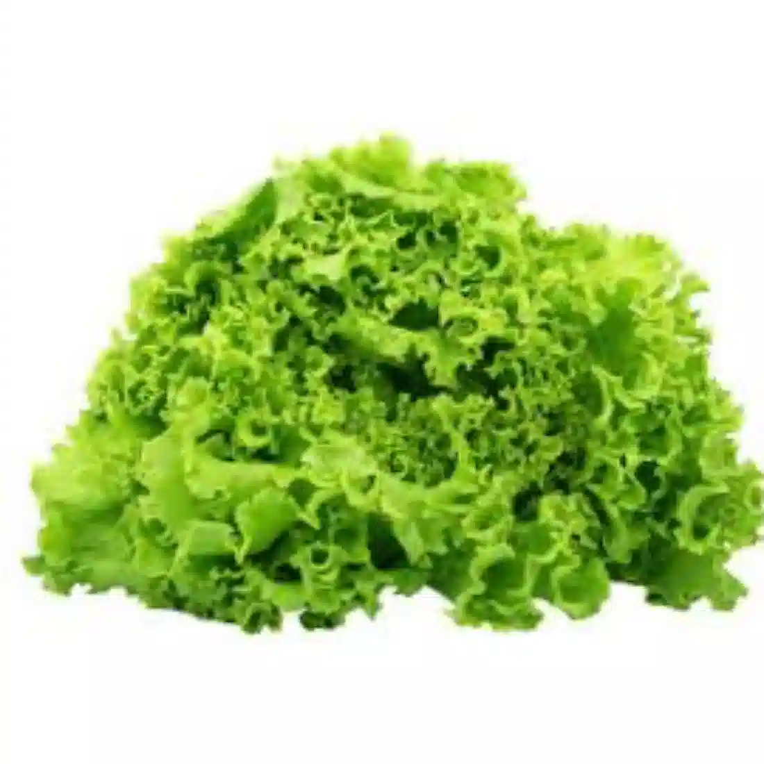 Lettuce 