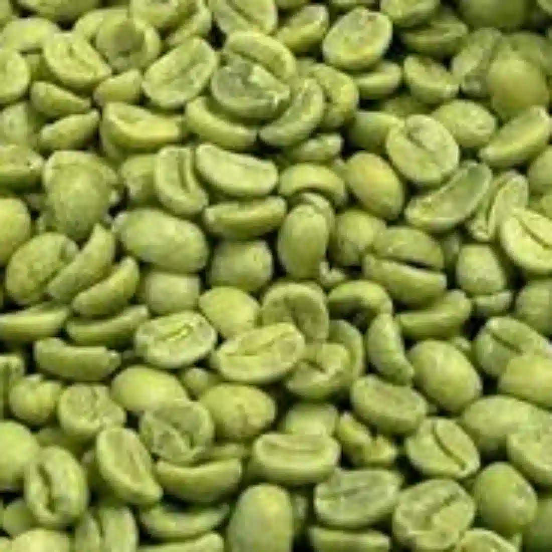 Green Coffee Beans 